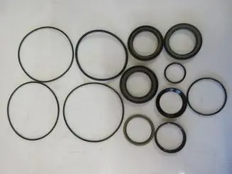 Avant Epms Motor Seal Kit – Fits 41.5129.1001 Series – 64610 1