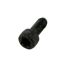 Ayp Torx Bolt For Power Equipment – Oem #521861101 (Clearance) 1