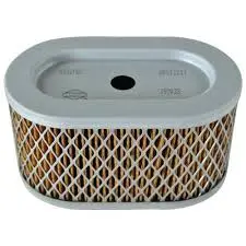 Briggs & Stratton Ac Cartridge Filter – High-Efficiency Replacement (Part #84010837) 1