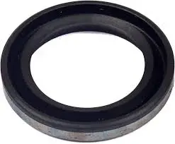 Briggs & Stratton Oil Seal – Diameter 29Mm, Part #299819S 1