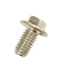 Briggs & Stratton Stainless Steel Screw #691678 1