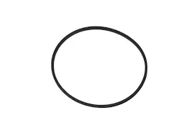 Tecumseh O-Ring Seal – Part #788024 (Clearance) 1